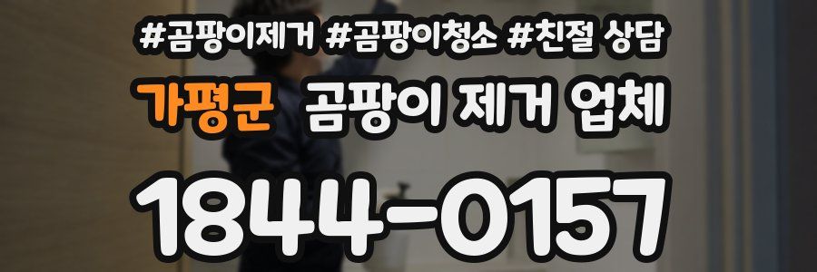 가평군 곰팡이 제거 업체