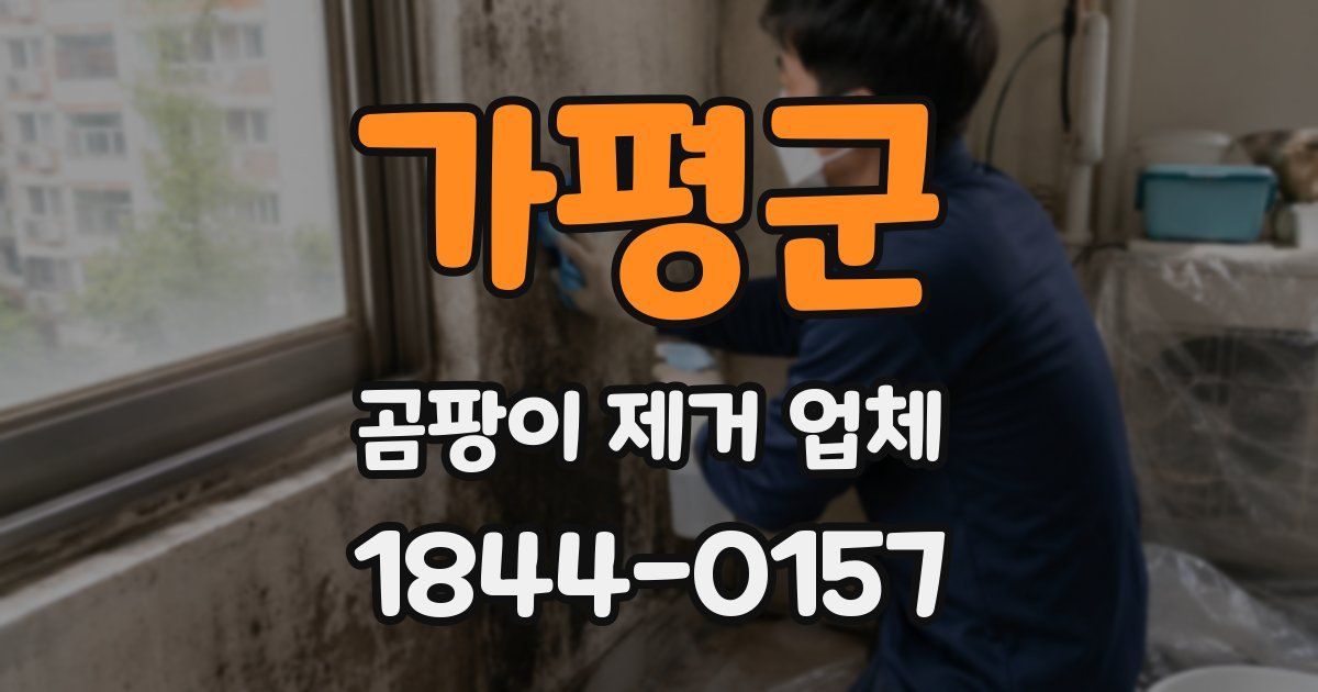 가평군 곰팡이 제거 업체