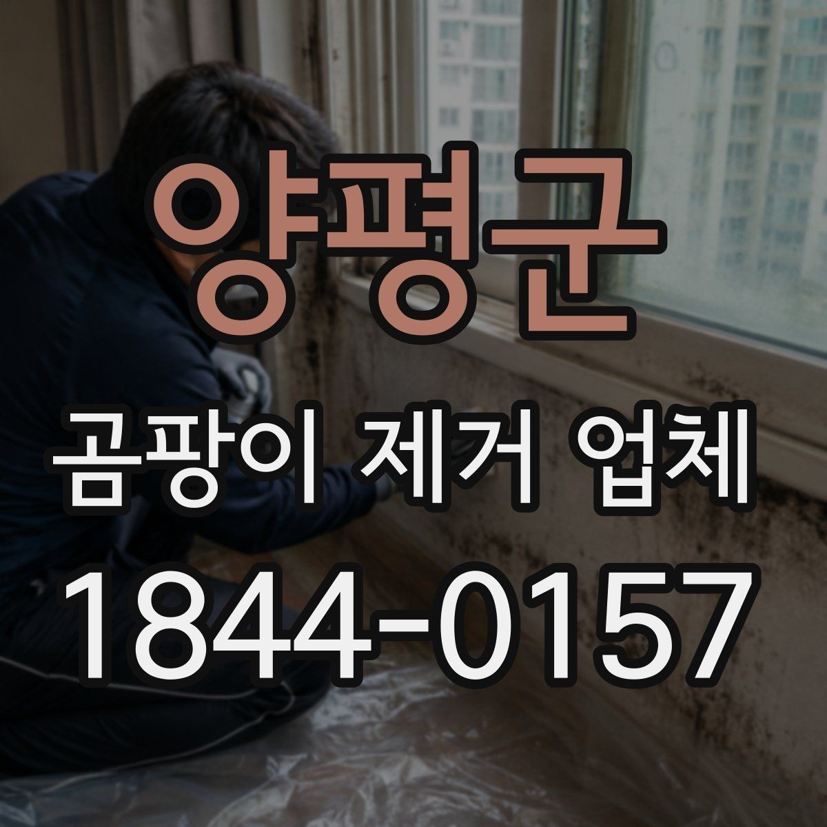 양평군 곰팡이 제거 업체 견적이 달라지는 환경 요인