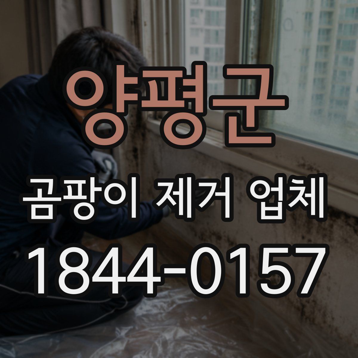 양평군 곰팡이 제거 업체