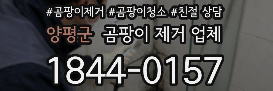 양평군 곰팡이 제거 업체