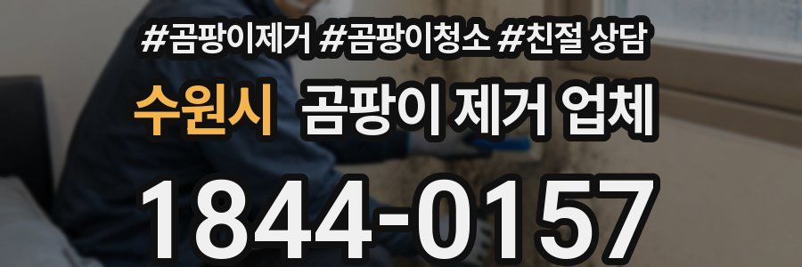 수원시 곰팡이 제거 업체