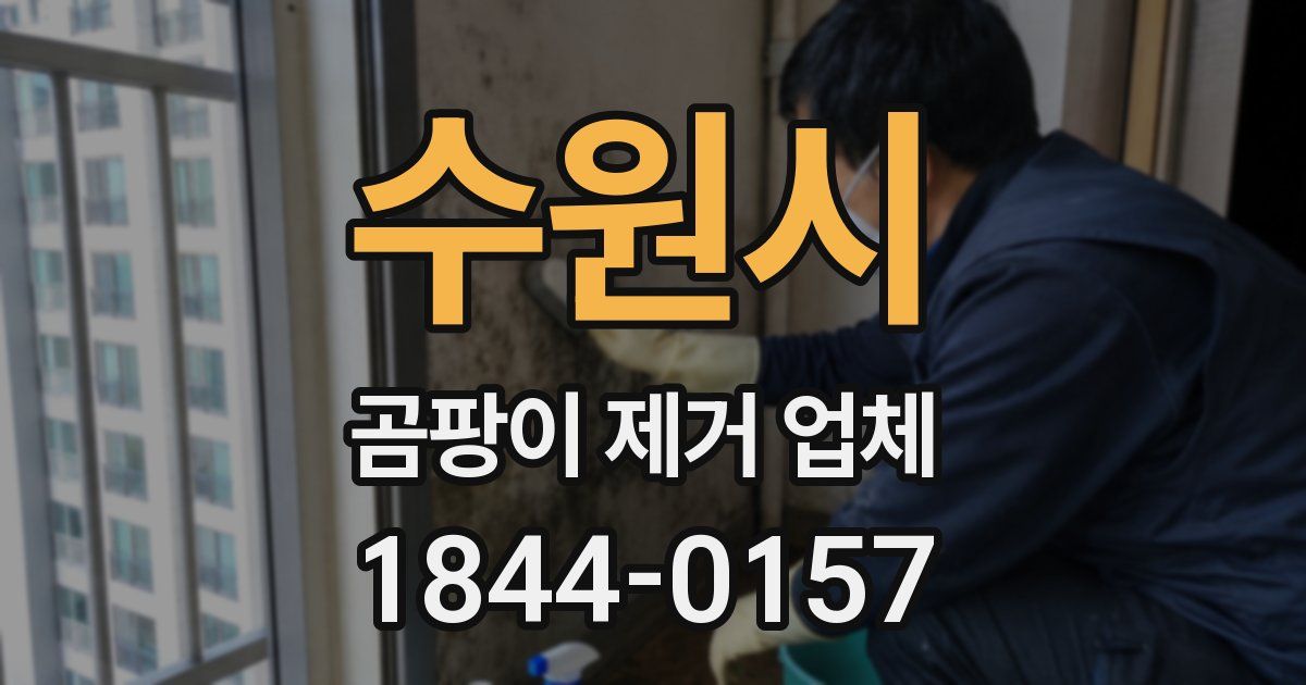 수원시 곰팡이 제거 업체