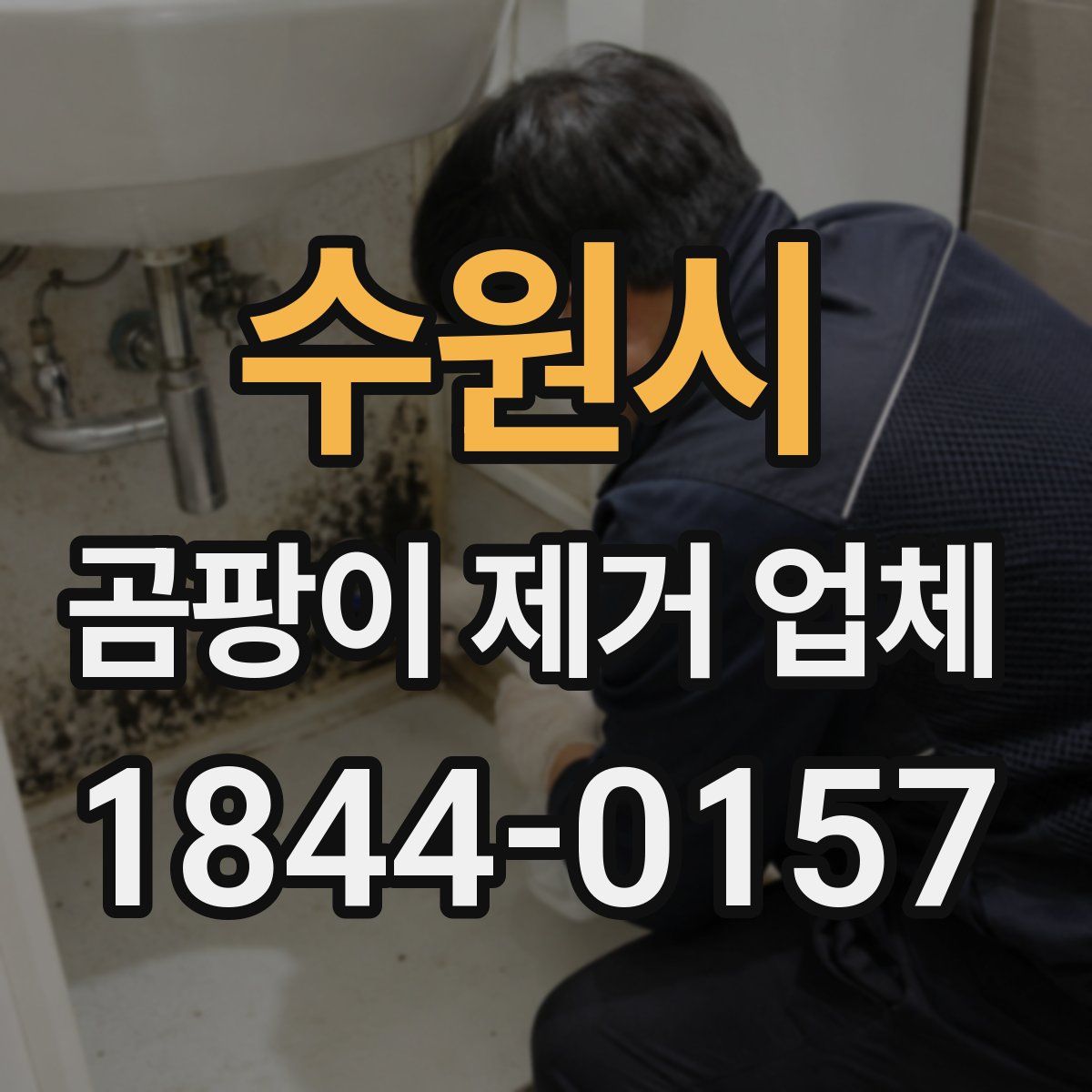수원시 곰팡이 제거 업체