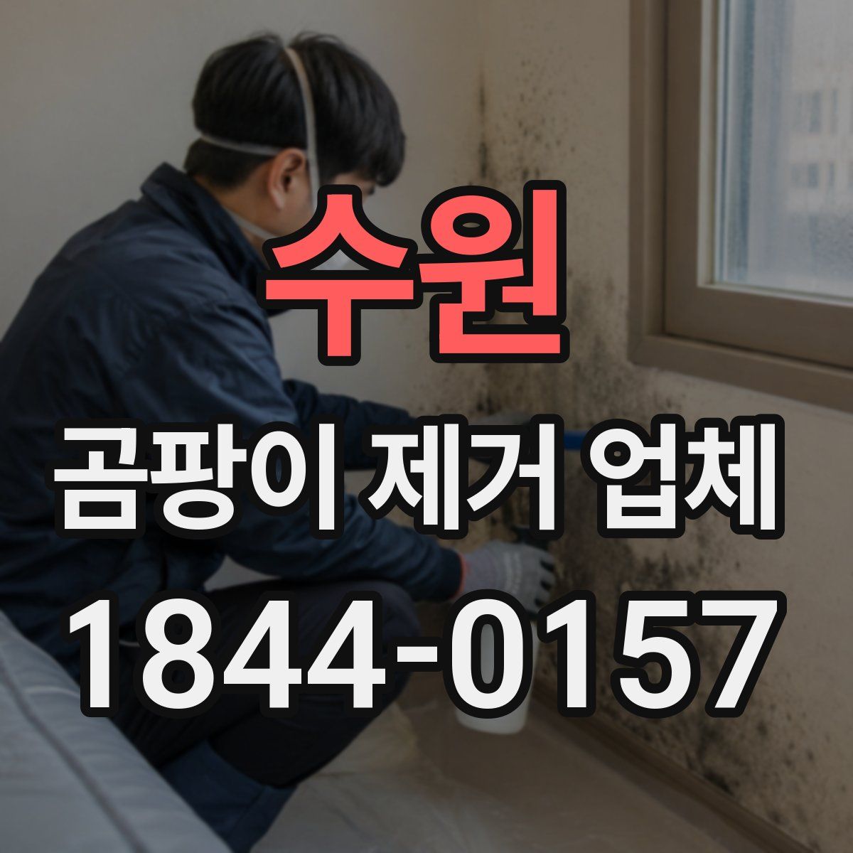 수원 곰팡이 제거 업체
