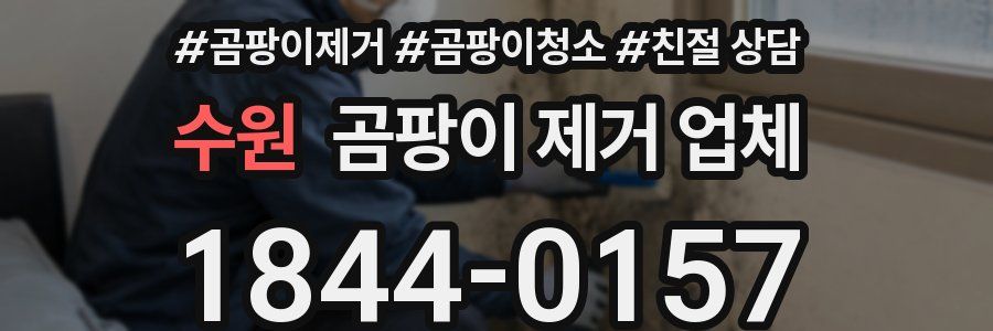 수원 곰팡이 제거 업체