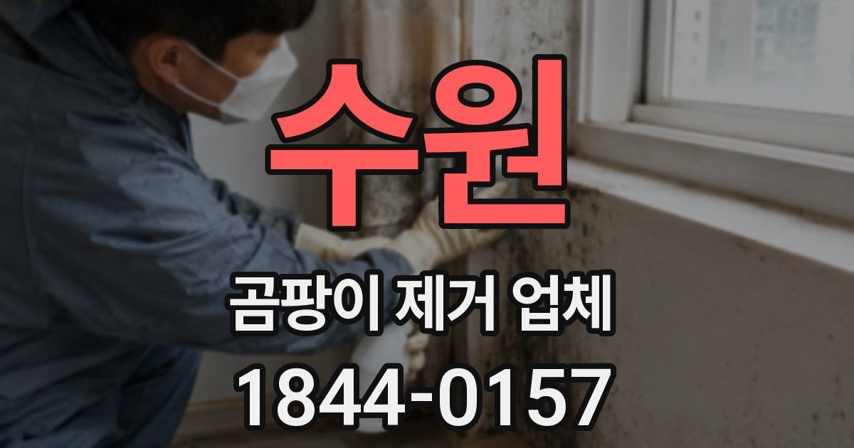 수원 곰팡이 제거 업체