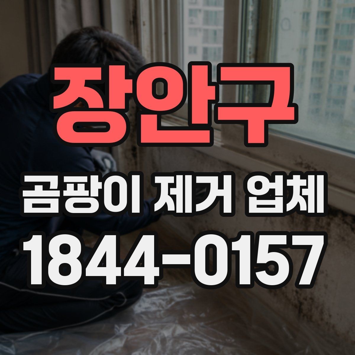 장안구 곰팡이 제거 업체 방문 전 공간 정리 방법