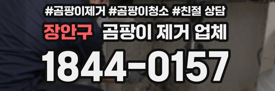 장안구 곰팡이 제거 업체