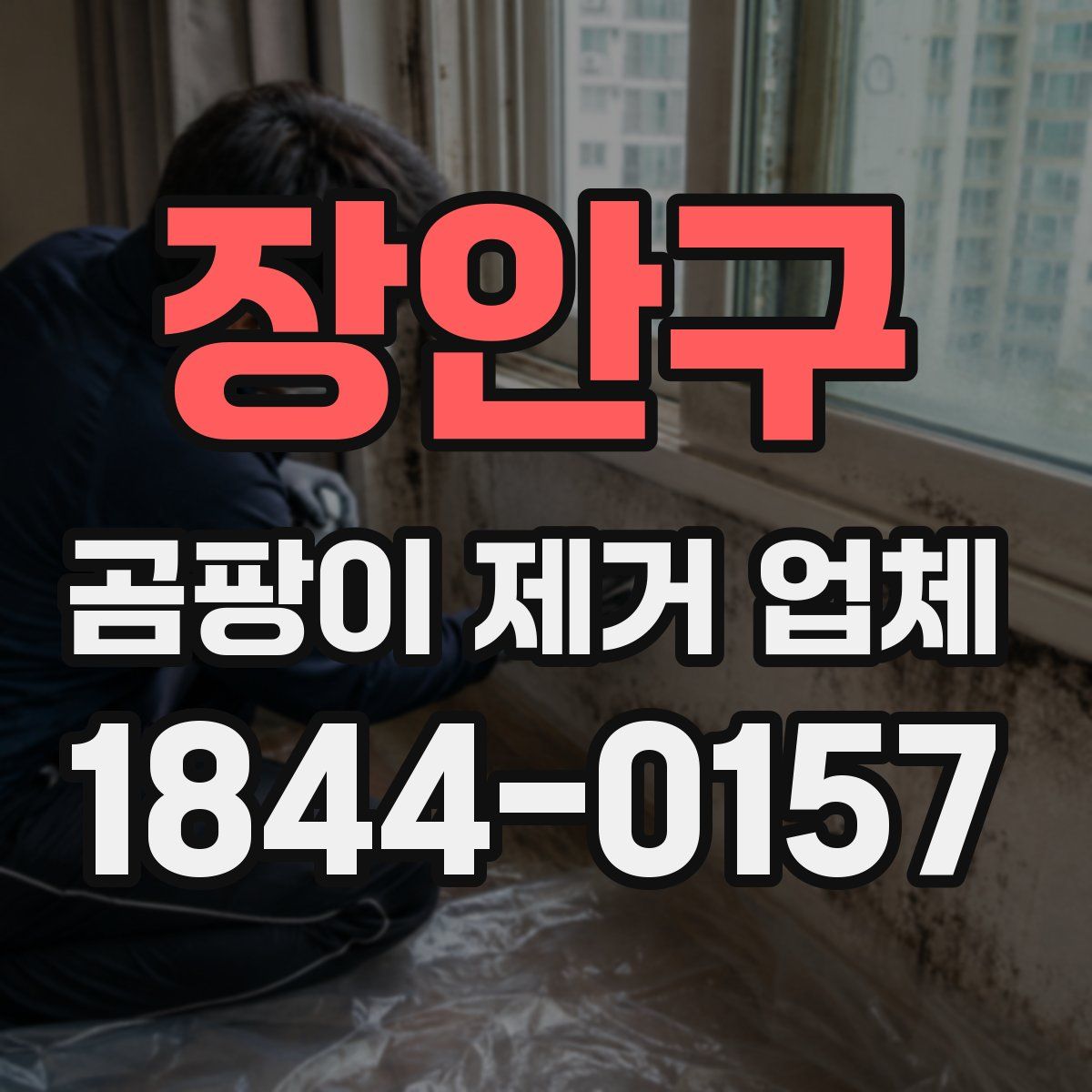 장안구 곰팡이 제거 업체