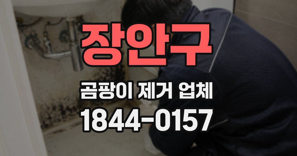 장안구 곰팡이 제거 업체