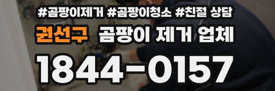 권선구 곰팡이 제거 업체