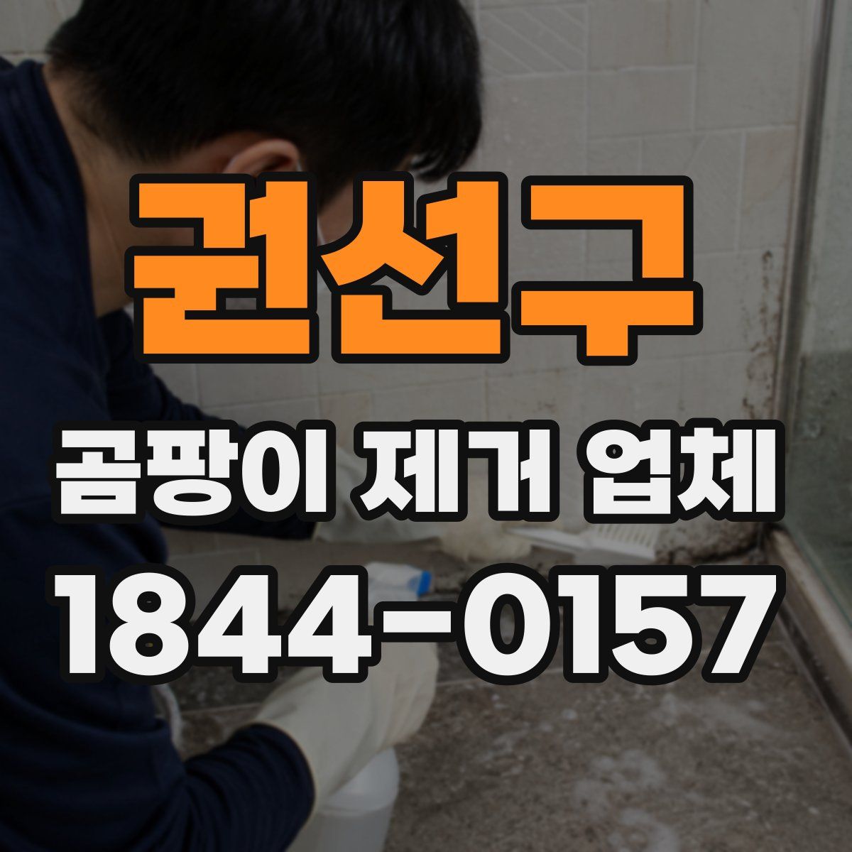 권선구 곰팡이 제거 업체