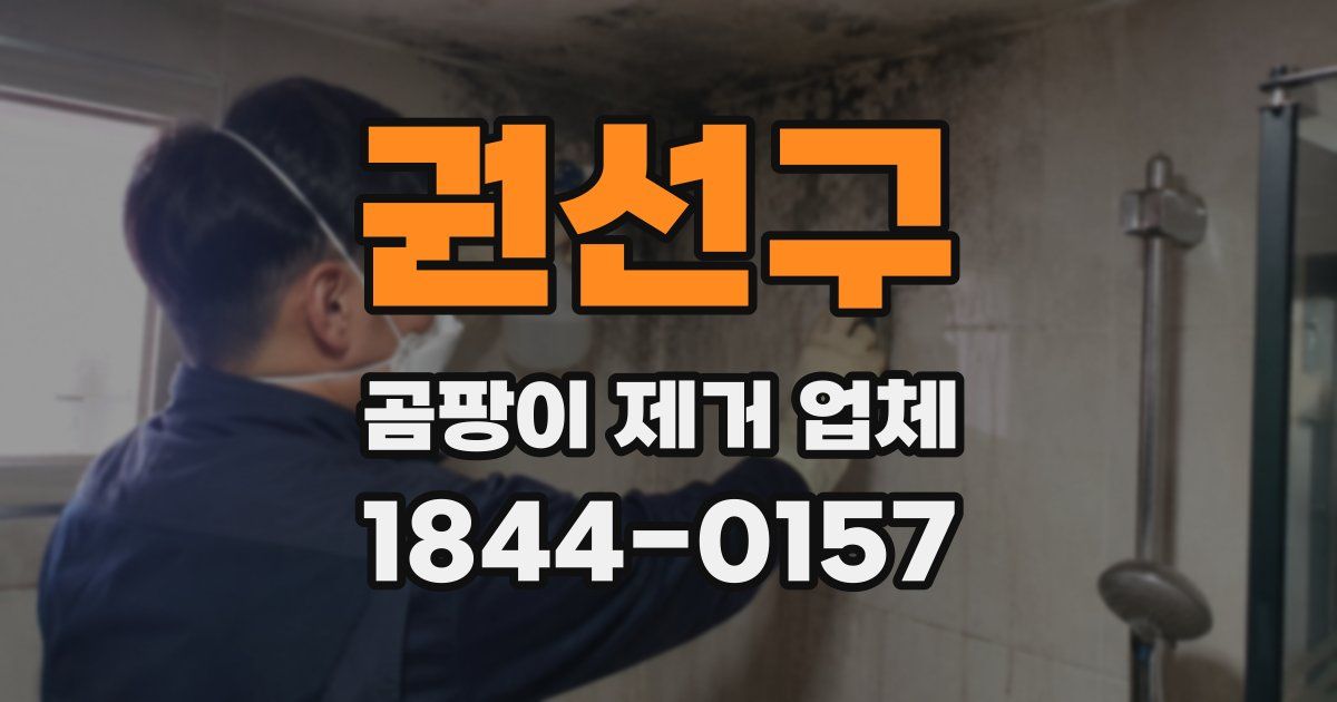 권선구 곰팡이 제거 업체