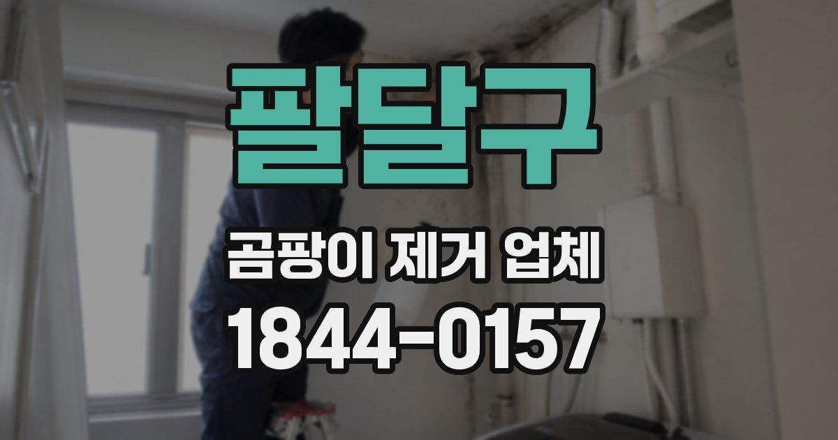팔달구 곰팡이 제거 업체