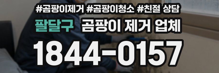 팔달구 곰팡이 제거 업체