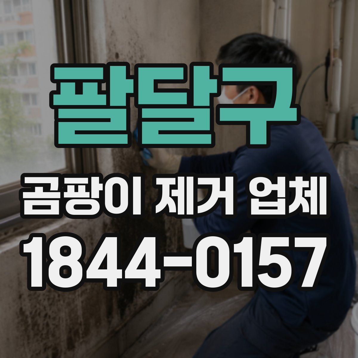 팔달구 곰팡이 제거 업체