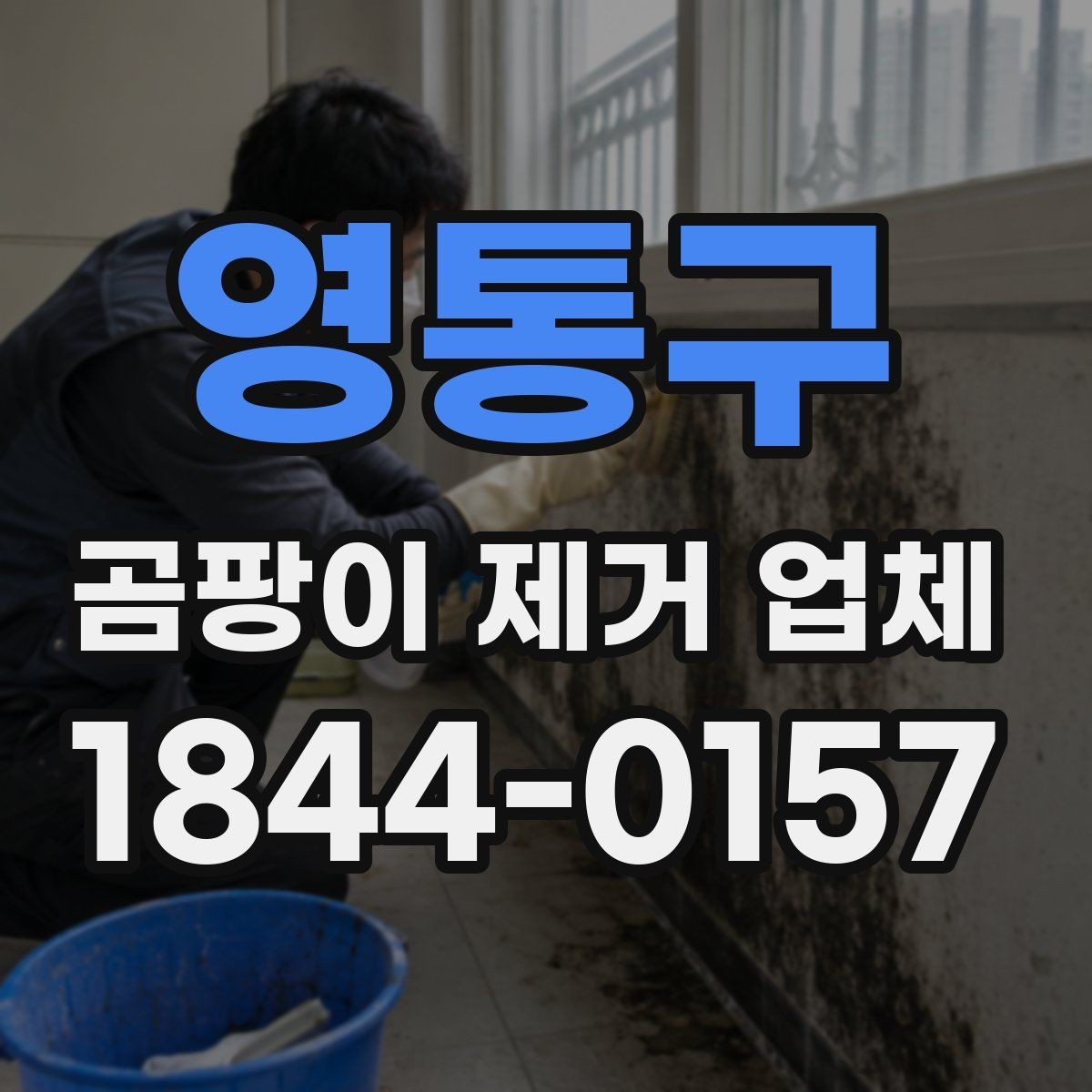 영통구 곰팡이 제거 업체 선택할 때 확인할 점