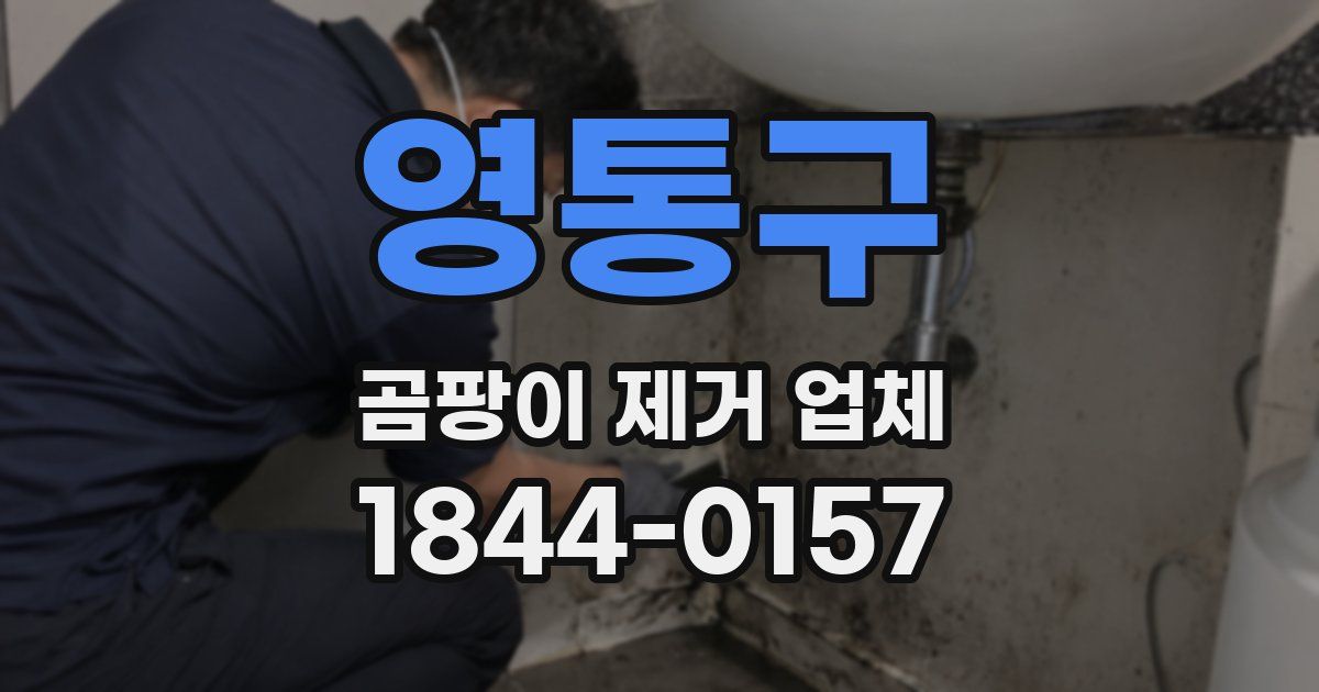 영통구 곰팡이 제거 업체
