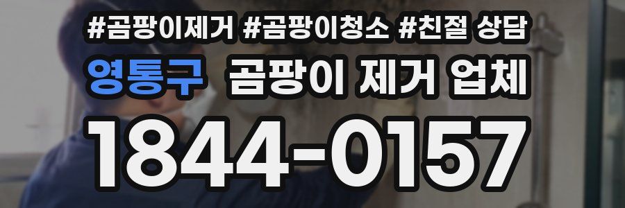 영통구 곰팡이 제거 업체