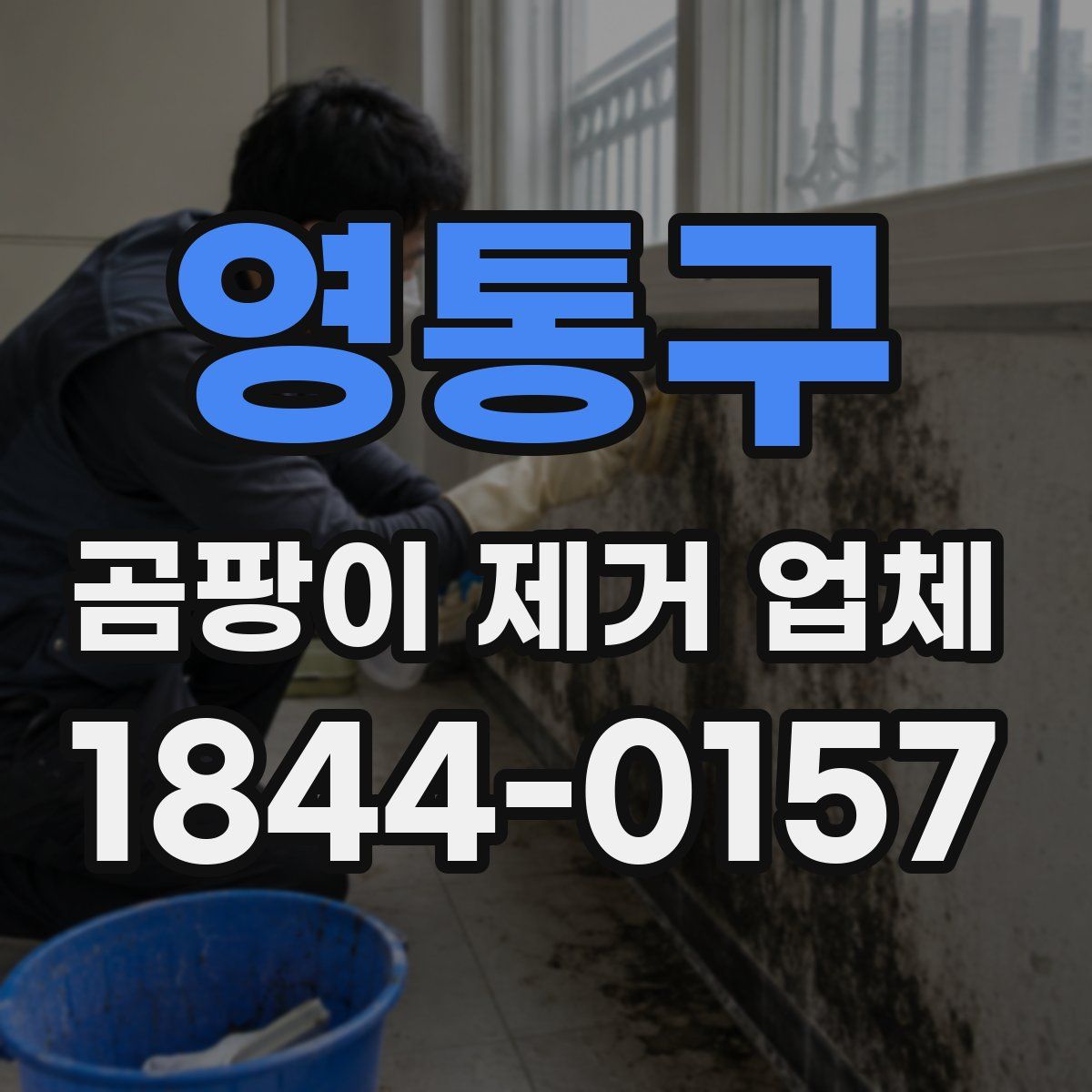 영통구 곰팡이 제거 업체
