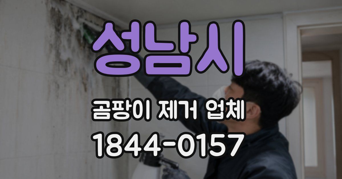 성남시 곰팡이 제거 업체