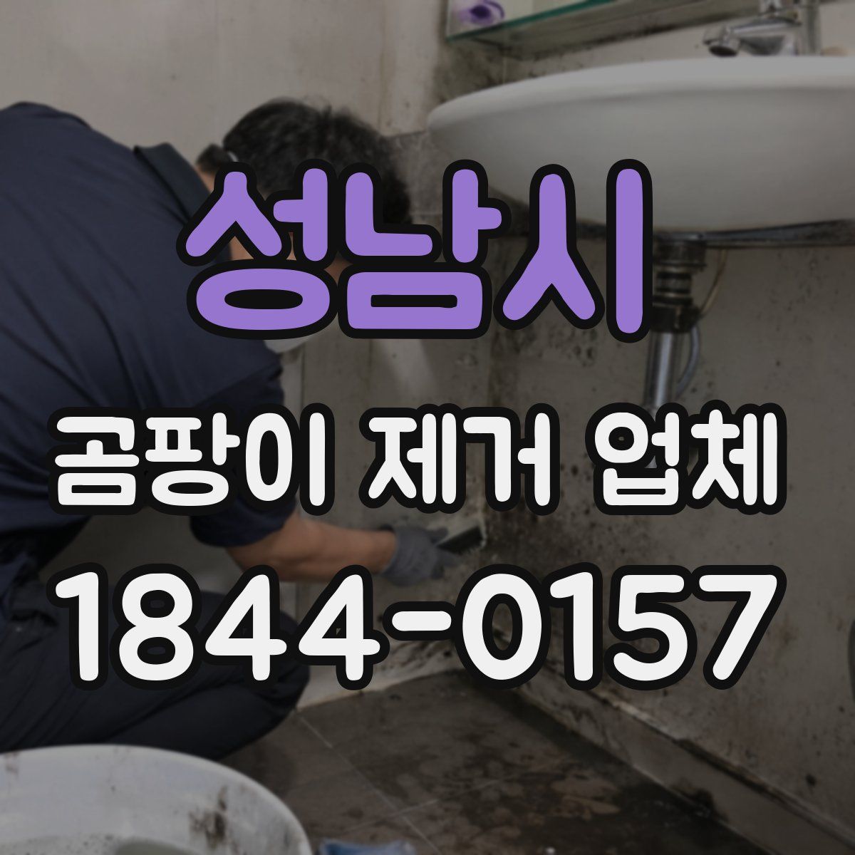 성남시 곰팡이 제거 업체