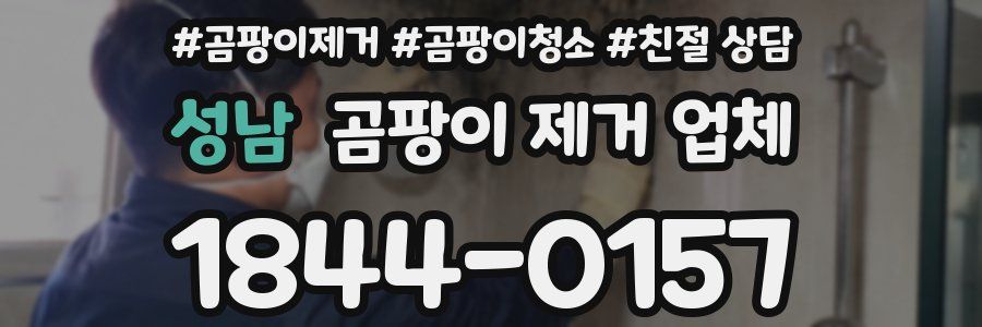 성남 곰팡이 제거 업체