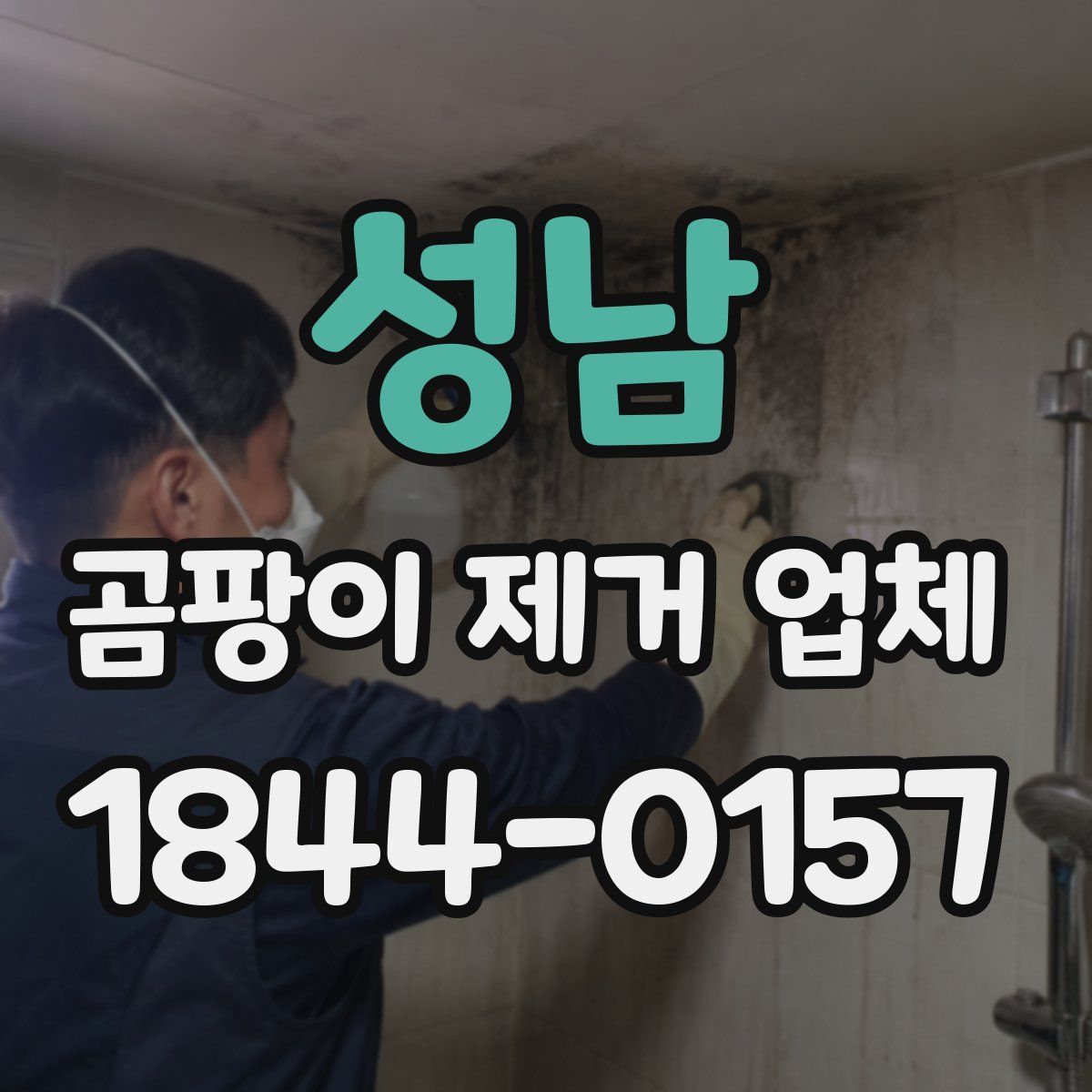 성남 곰팡이 제거 업체
