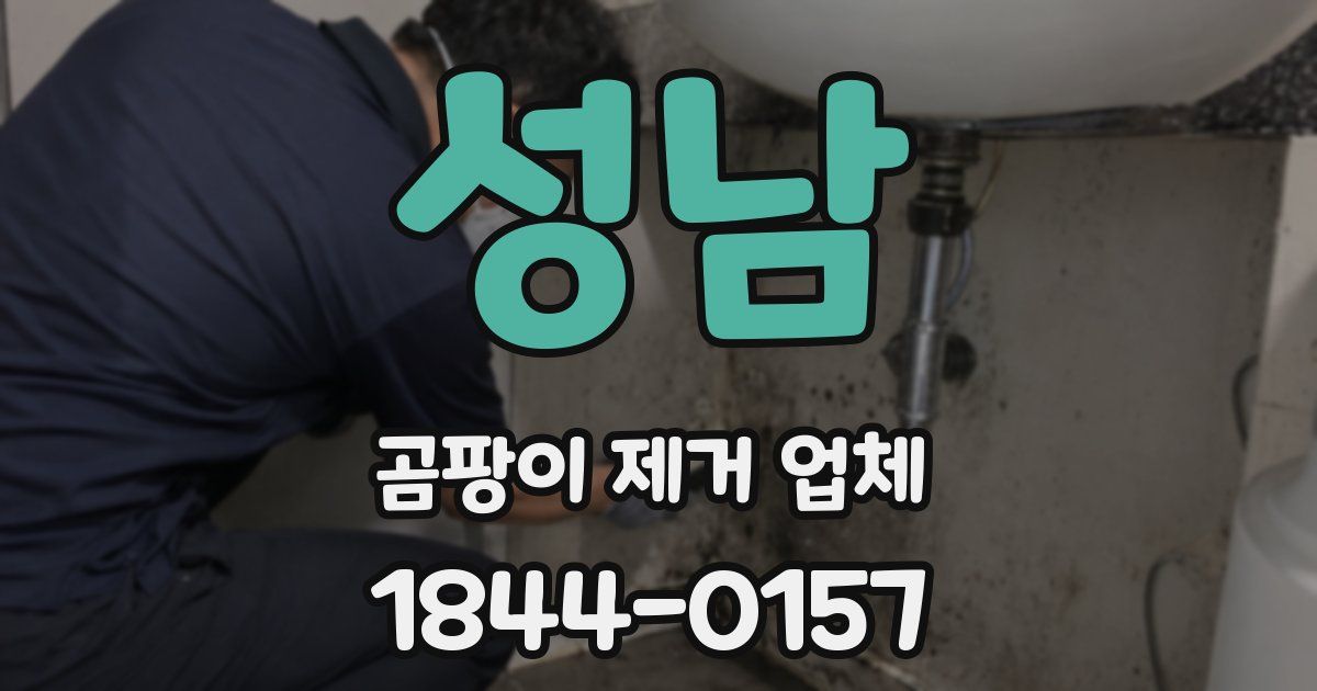 성남 곰팡이 제거 업체