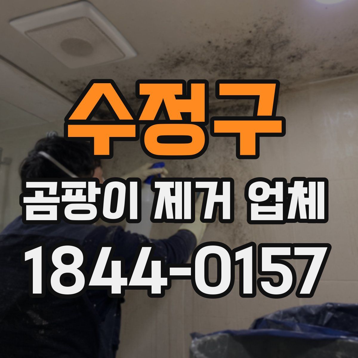 수정구 곰팡이 제거 업체