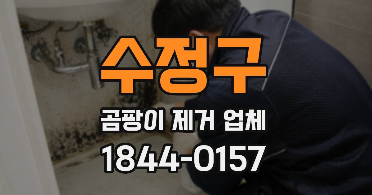 수정구 곰팡이 제거 업체