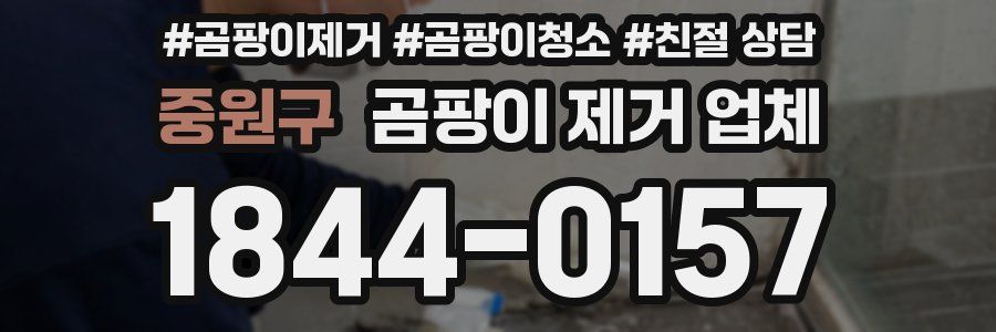 중원구 곰팡이 제거 업체