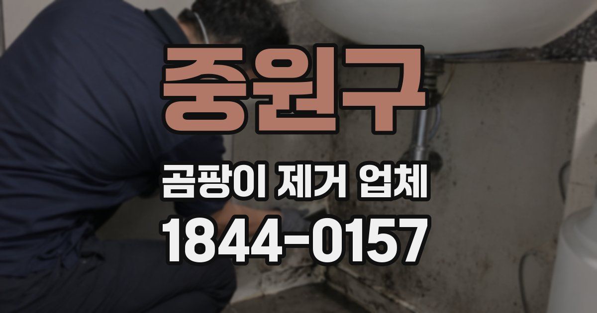 중원구 곰팡이 제거 업체