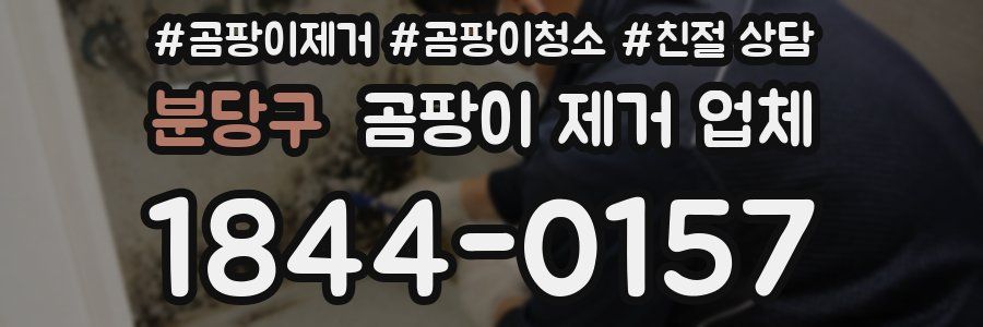 분당구 곰팡이 제거 업체