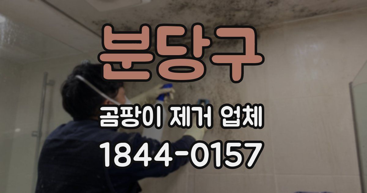 분당구 곰팡이 제거 업체