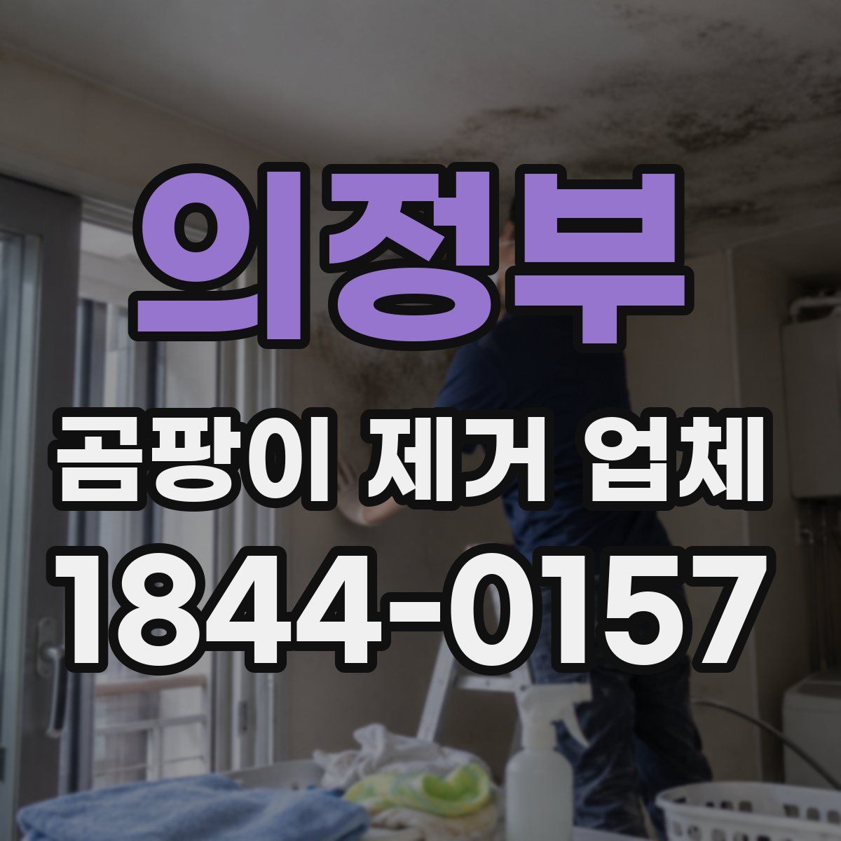 의정부 곰팡이 제거 업체
