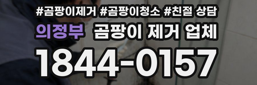 의정부 곰팡이 제거 업체