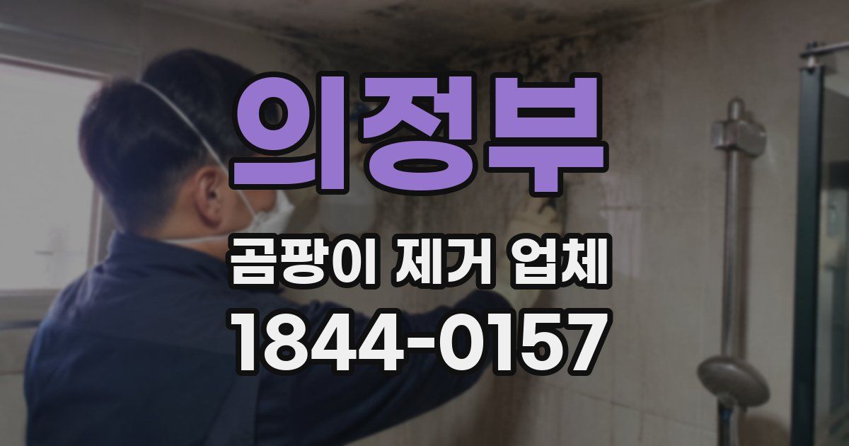 의정부 곰팡이 제거 업체