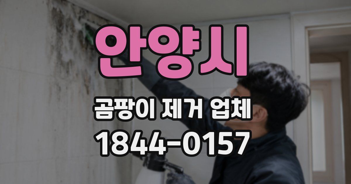 안양시 곰팡이 제거 업체