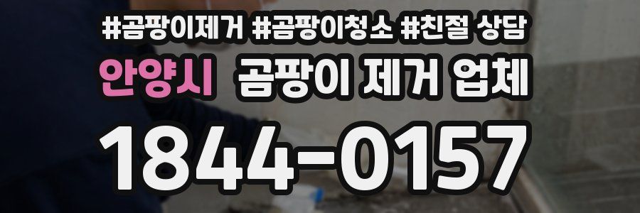 안양시 곰팡이 제거 업체