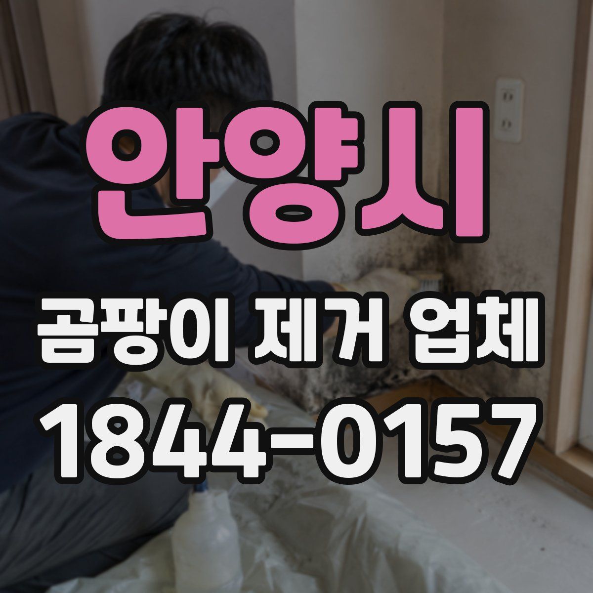 안양시 곰팡이 제거 업체