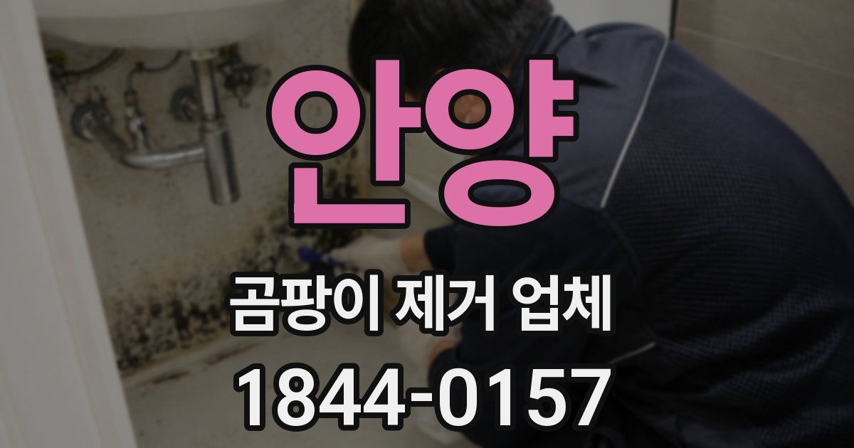안양 곰팡이 제거 업체