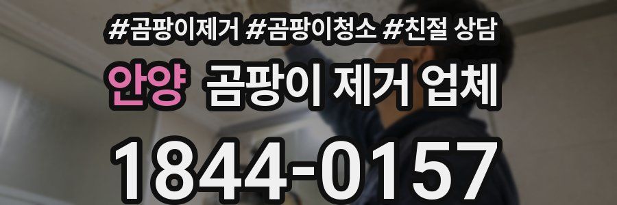 안양 곰팡이 제거 업체
