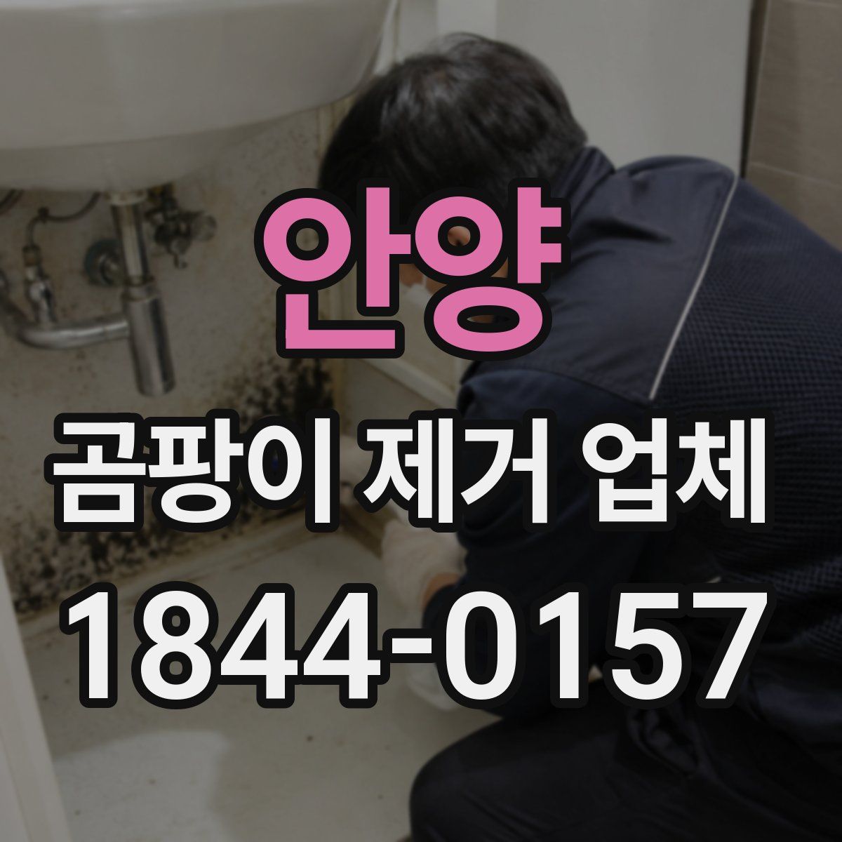 안양 곰팡이 제거 업체