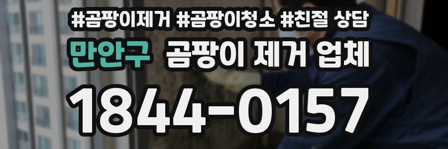 만안구 곰팡이 제거 업체