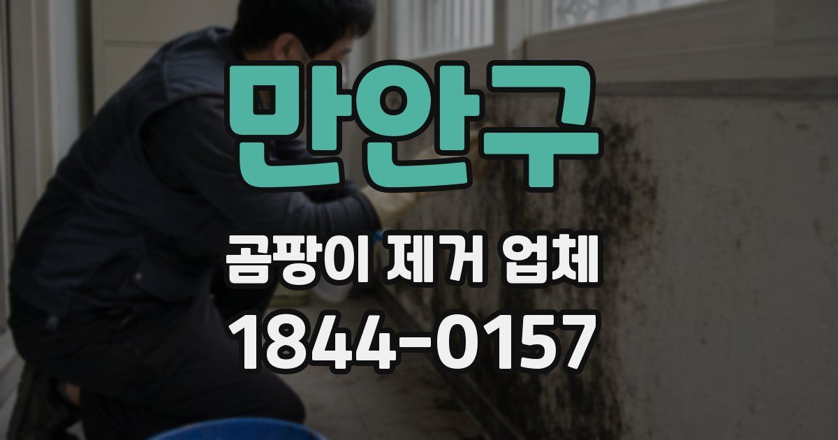 만안구 곰팡이 제거 업체