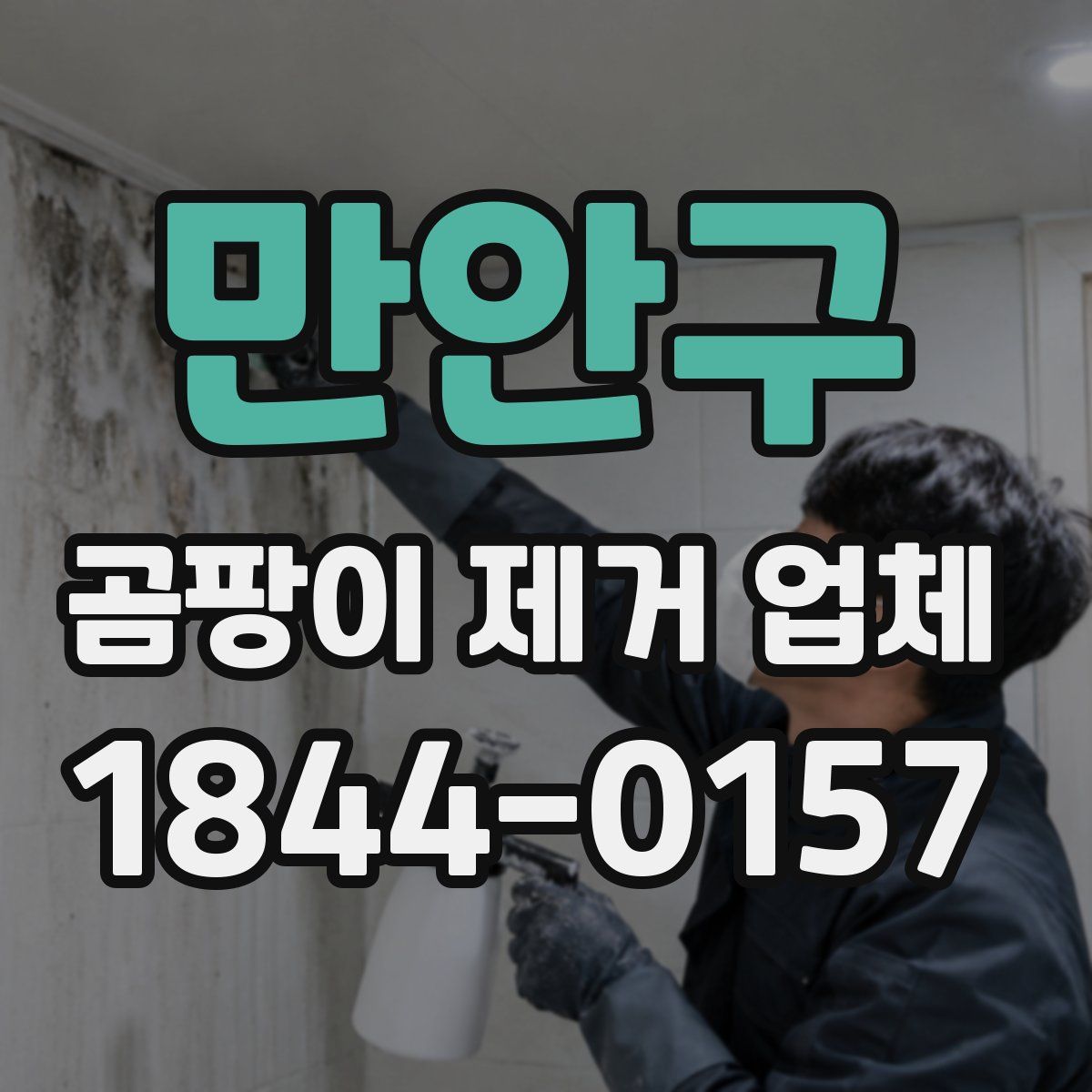 만안구 곰팡이 제거 업체