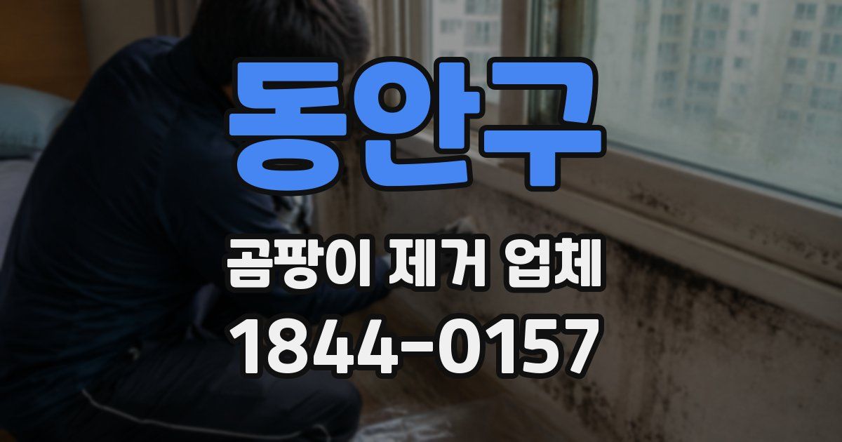 동안구 곰팡이 제거 업체