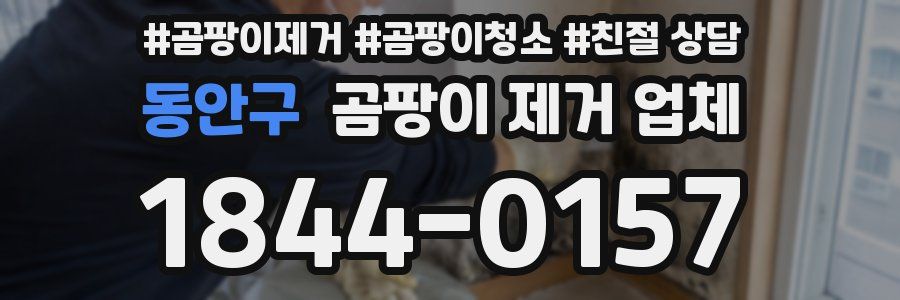 동안구 곰팡이 제거 업체